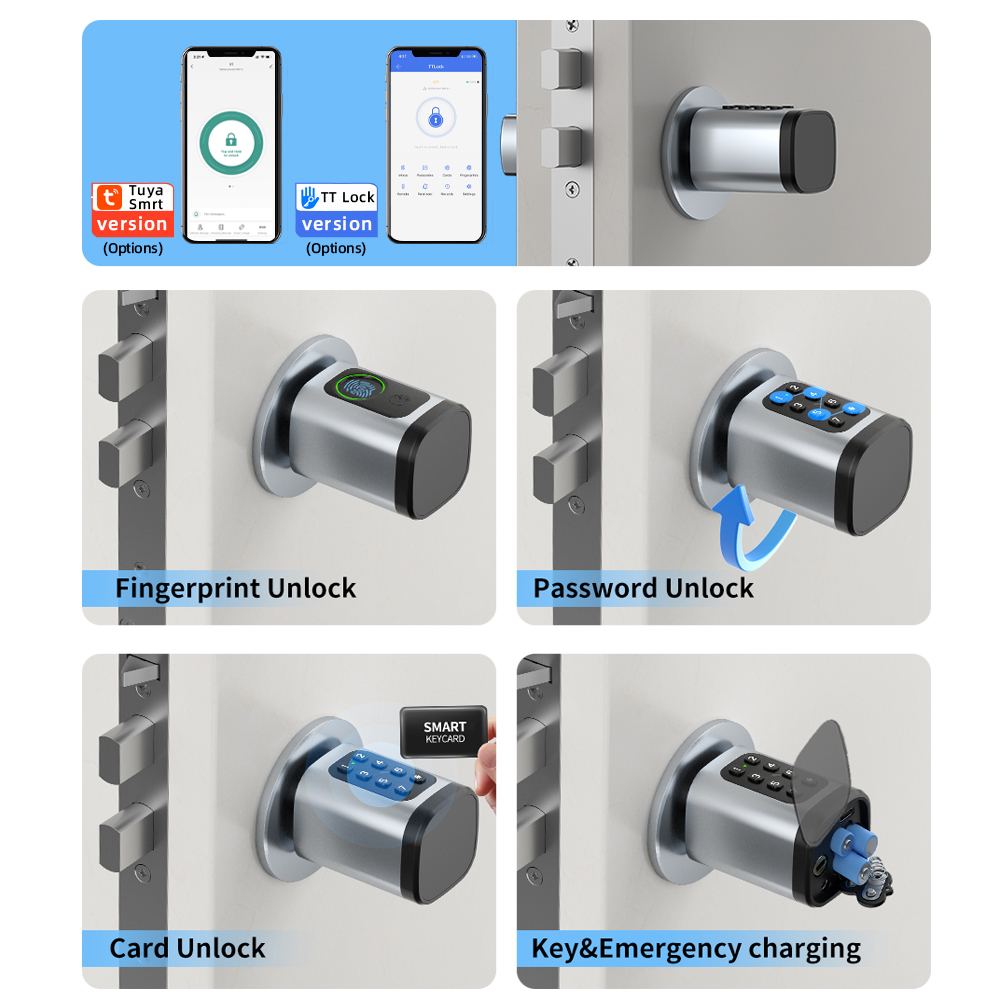 RAYKUBE V1 Tuya BLE TT قفل قفل - مراجعة Home Automation System Diy وسعره